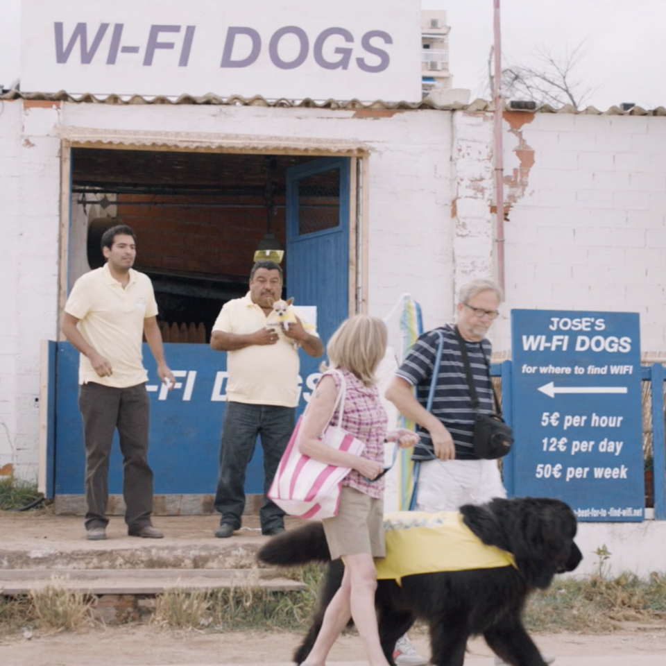 WIFI DOGS Kieferworx